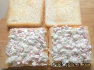 mayo-veggies spread on the bread